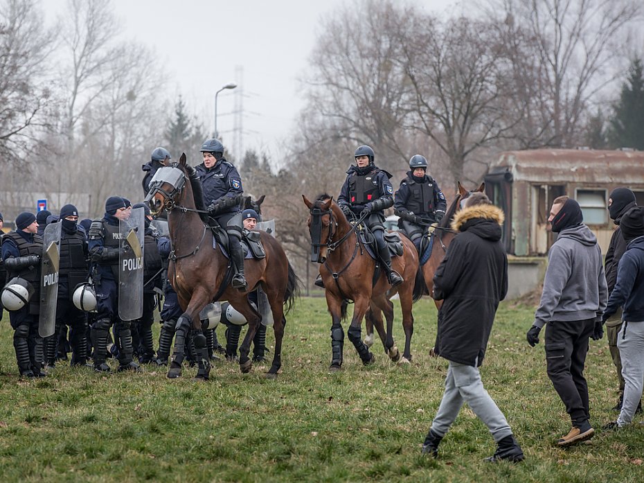 Trzydniowe szkolenie policyjnych koni w Warszawie [GALERIA]