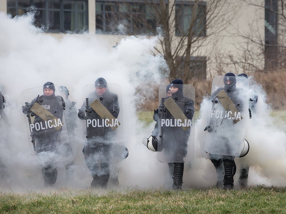 Trzydniowe szkolenie policyjnych koni w Warszawie [GALERIA]