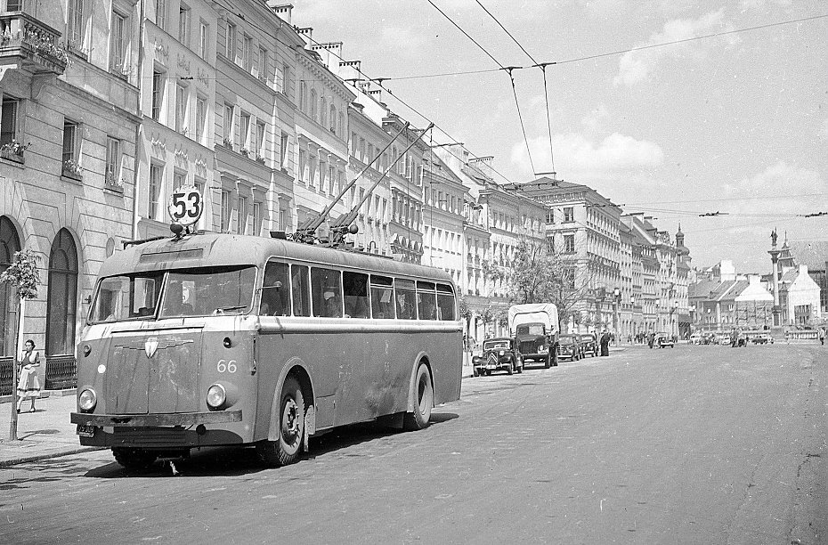 Trajtki, trajlusie, autobusy na szelkach w Warszawie