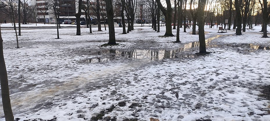 Wicej alejek na skwerze Pisudskiej? "Mieszkacy nie chc chodzi obok ruchliwej ulicy"