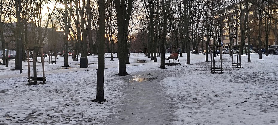 Wicej alejek na skwerze Pisudskiej? "Mieszkacy nie chc chodzi obok ruchliwej ulicy"