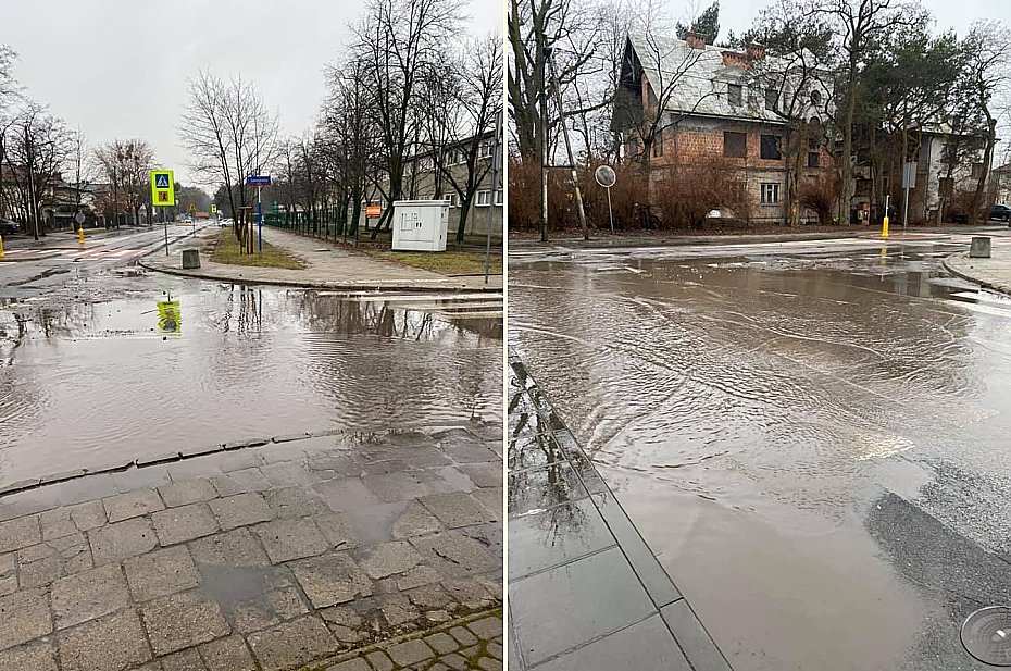 alt='Zebra dla pieszych na Bielanach - bardziej bajoro, ni cywilizowane przejcie'