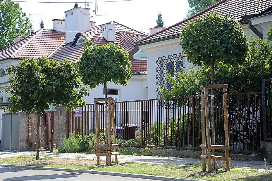 Bohomolca jak nowa - wymieniono asfalt, chodniki i zadbano o ziele