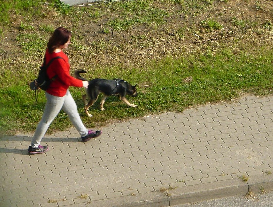 alt='Mission impossible bemowskiej radnej. Jak pogodzi psiarzy z reszt mieszkacw?'