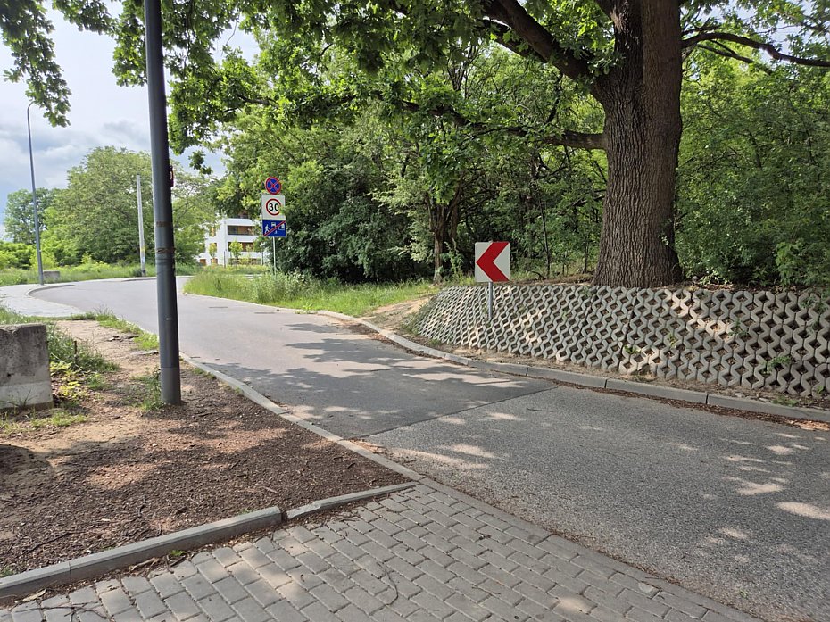 Radny chce progw na Kopalnianej. Mieszkacy: problem to wskie gardo i brak chodnika