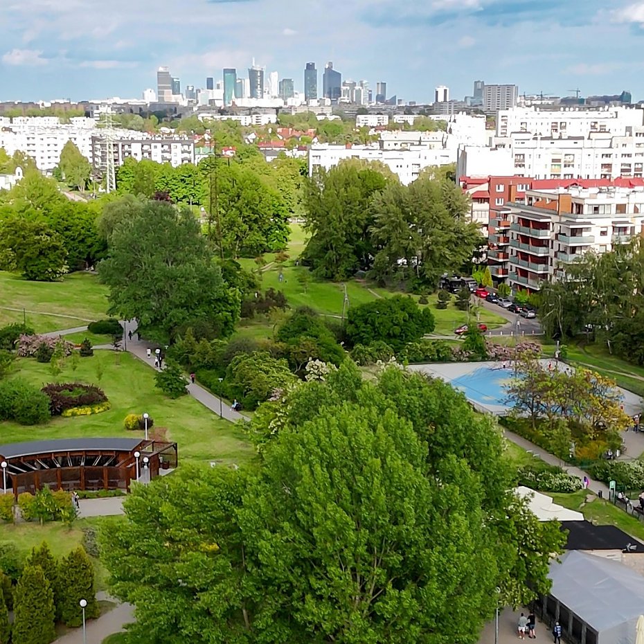 Czy park Grczewska potrzebuje ochrony przed wiatrem? Mieszkacy zagosowali