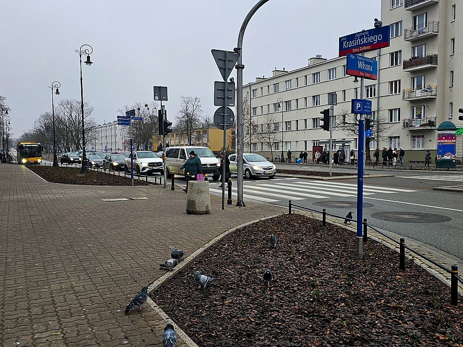 Kolejna metamorfoza placu Wilsona. Nowa awka, poideko i kwitnce krzewy