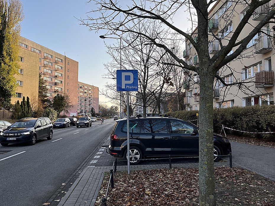 alt='Elblska zyska ziele bez utraty parkingw'