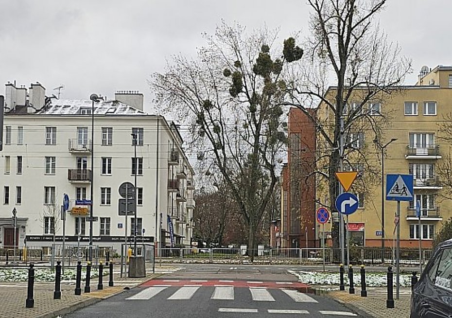alt='Jemioa niszczy drzewa. Wkrtce akcja, ktra jest kropl w morzu'
