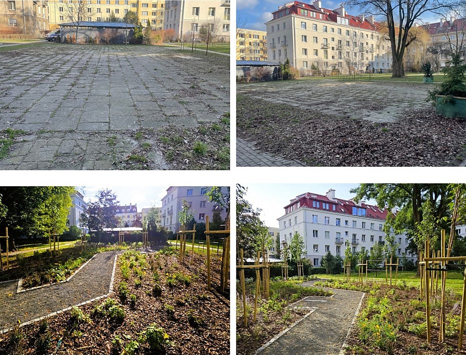 alt='Zielona rewolucja na Mokotowie. Nowe podwrka i ulice pene drzew'
