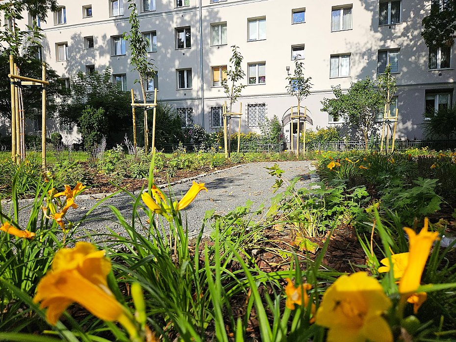 Zielona rewolucja na Mokotowie. Nowe podwrka i ulice pene drzew