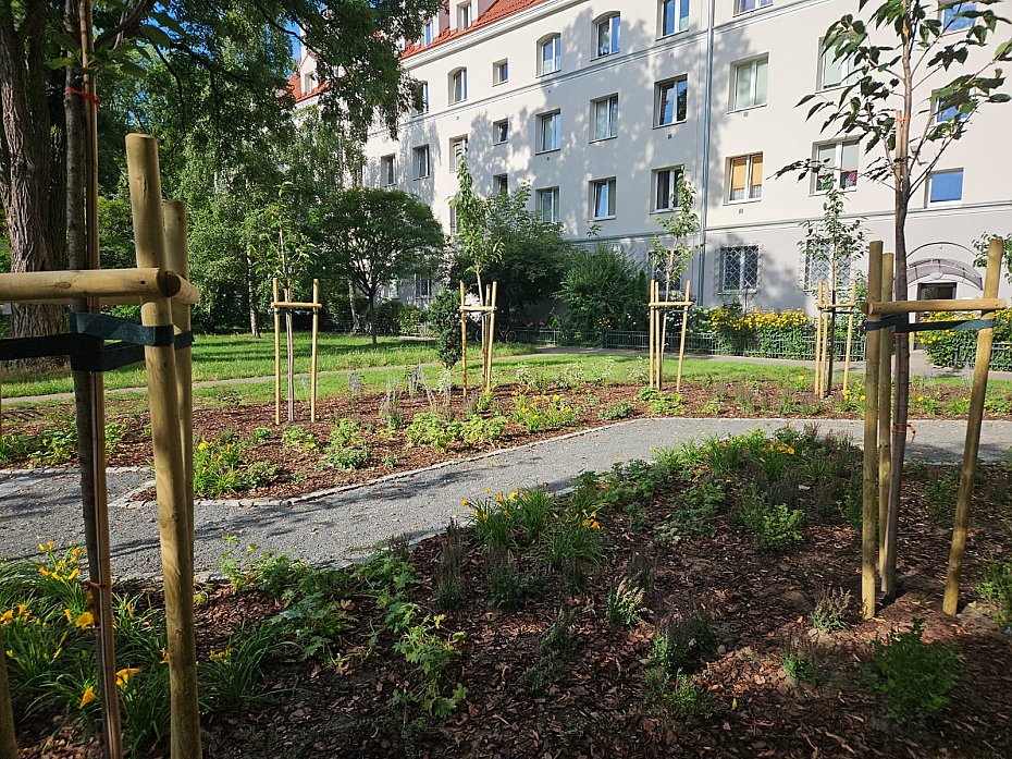 Zielona rewolucja na Mokotowie. Nowe podwrka i ulice pene drzew
