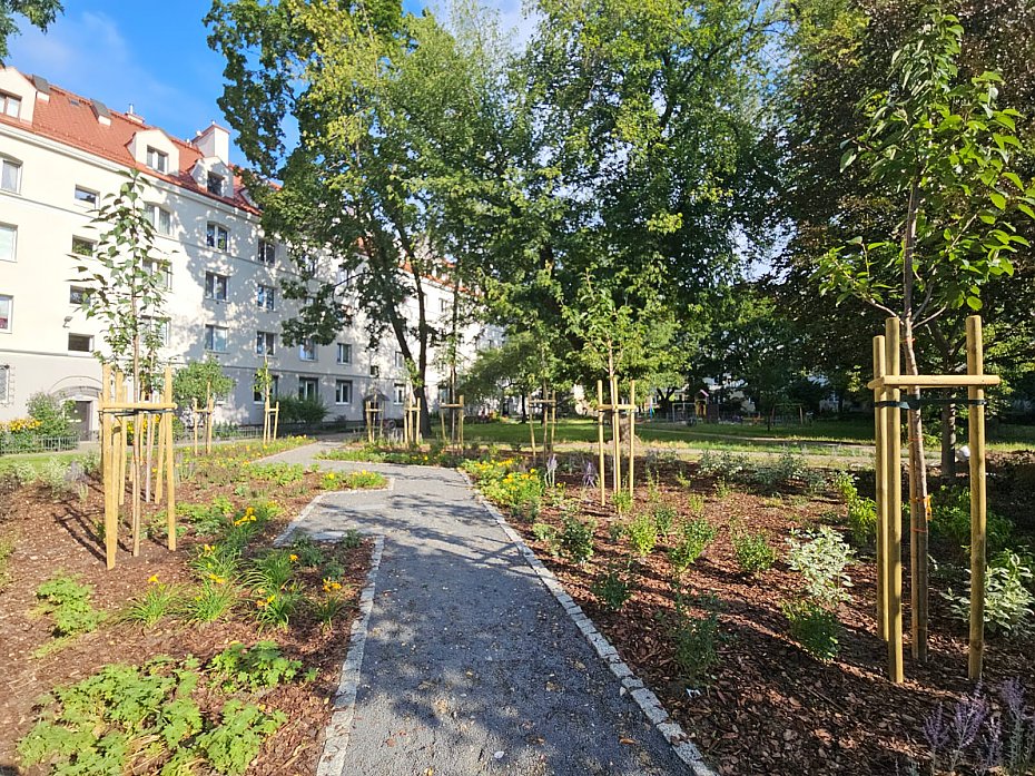 Zielona rewolucja na Mokotowie. Nowe podwrka i ulice pene drzew