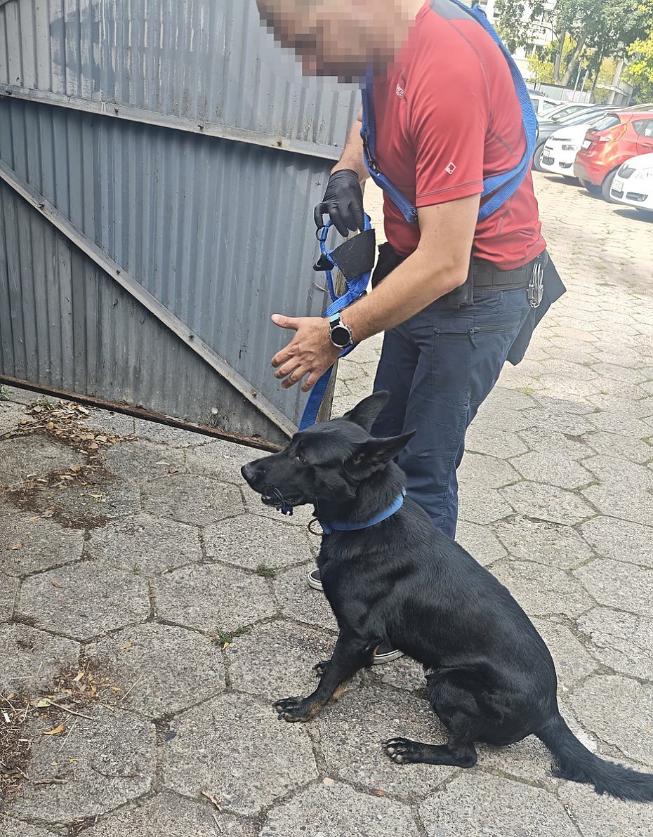 Awantura domowa doprowadzia policjantw do magazynu narkotykw