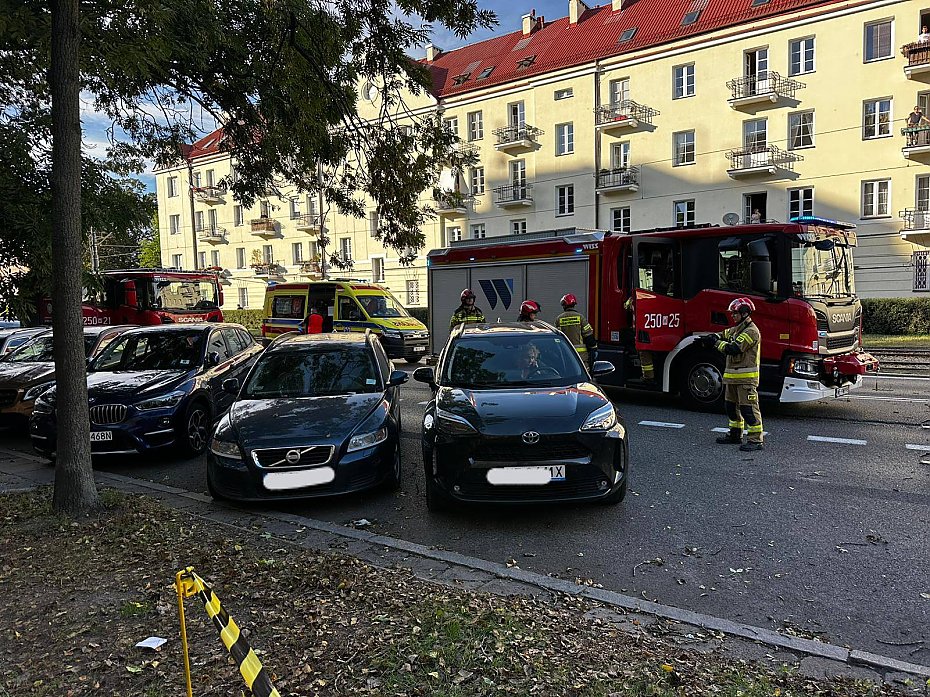 Drzewo runo na auta. Dwie osoby w rodku