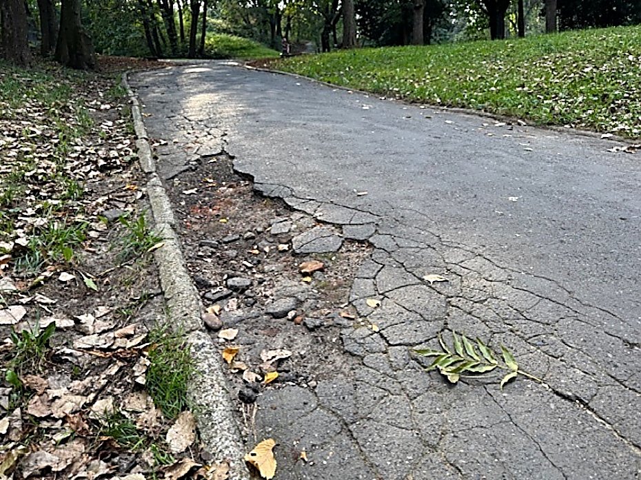 Remont alejek w parku na Powilu. Po 70 latach