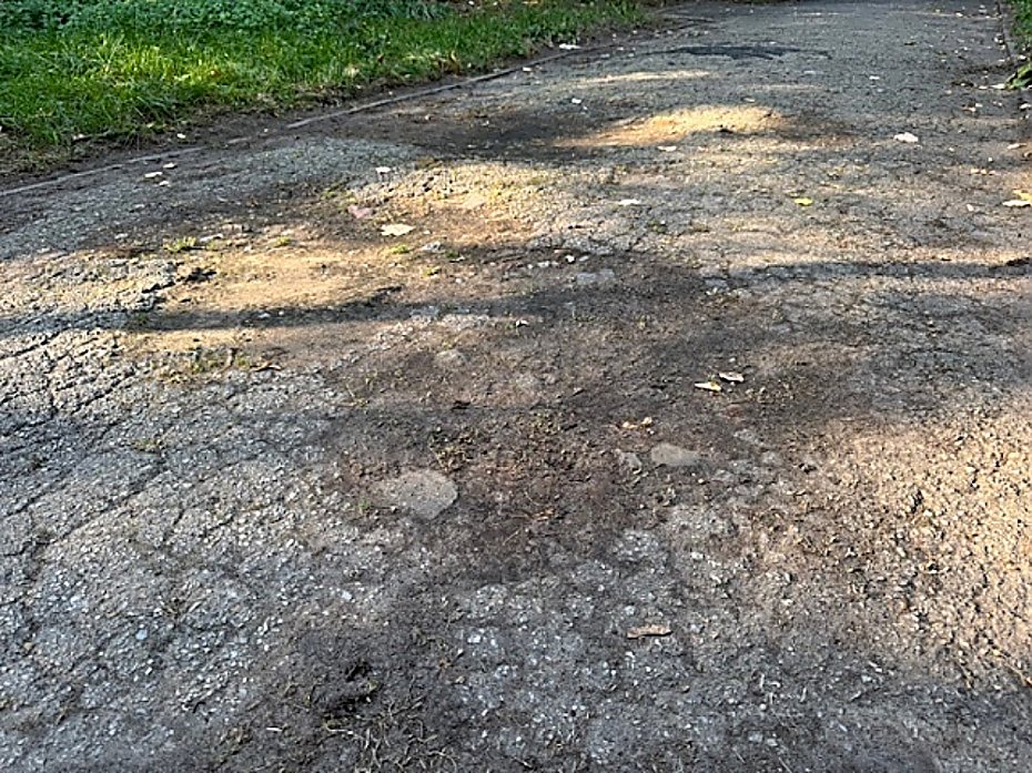 Remont alejek w parku na Powilu. Po 70 latach