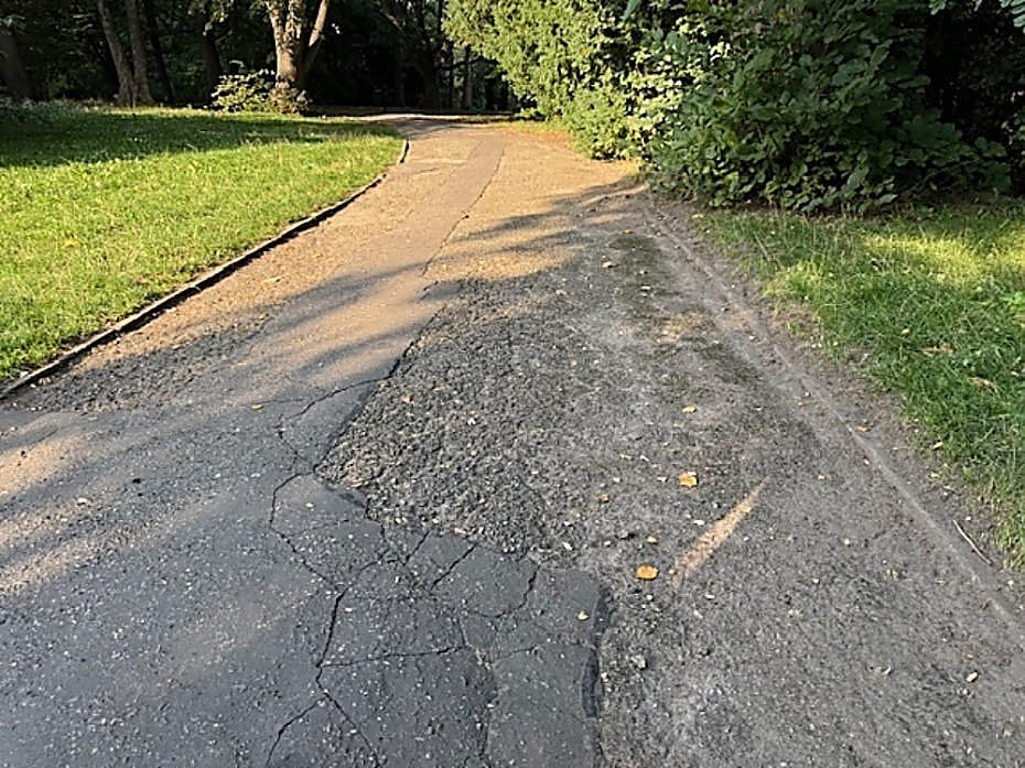 Remont alejek w parku na Powilu. Po 70 latach