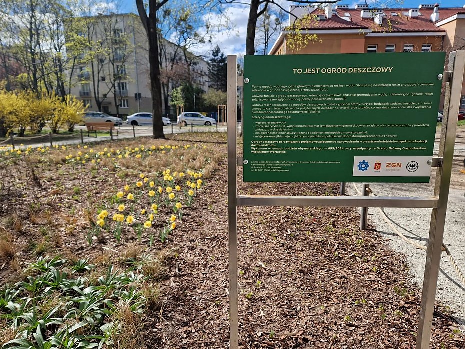 alt='Tysice rolin zamiast betonu. Studenci SGGW odmienili podwrko'