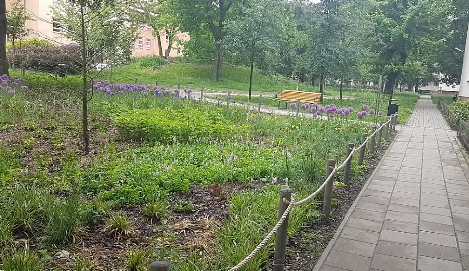 Tysice rolin zamiast betonu. Studenci SGGW odmienili podwrko