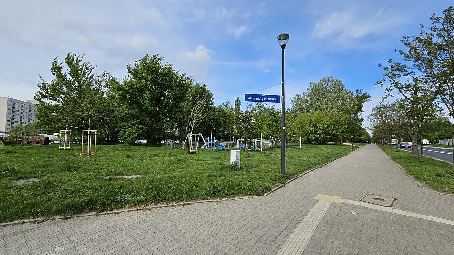 oliborz zakwitnie. Nowe roliny w parkach i na skwerach