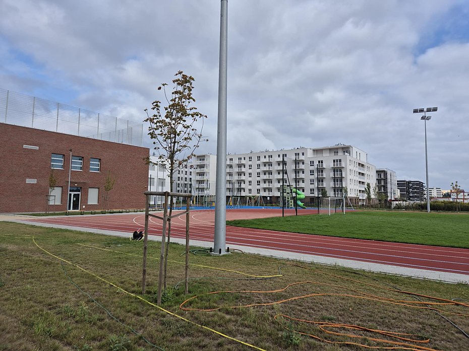 alt='Trawa naturalna czy sztuczna? "Za rok będzie klepisko"'