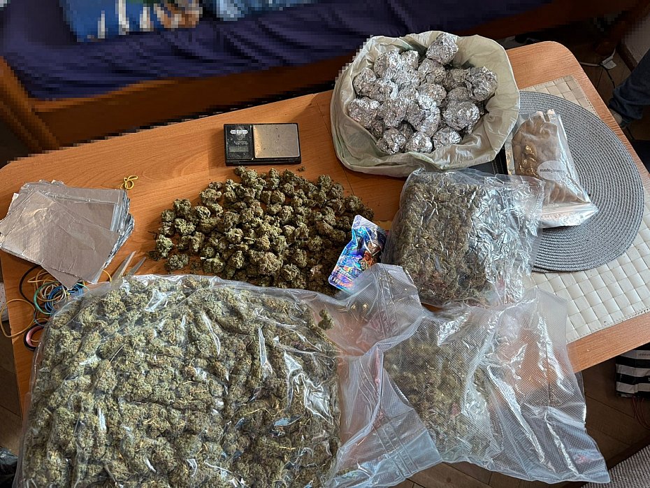 Rodzinny narkobiznes w sercu Warszawy