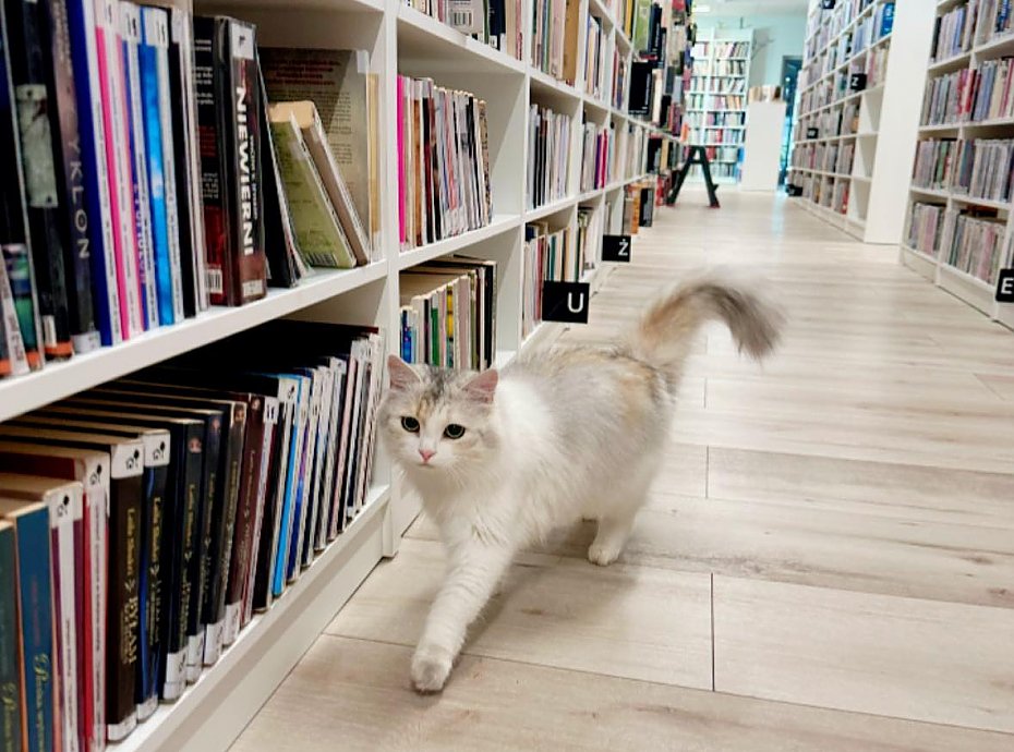alt='Chrzanów czeka na drugą bibliotekę. Długo poczeka'