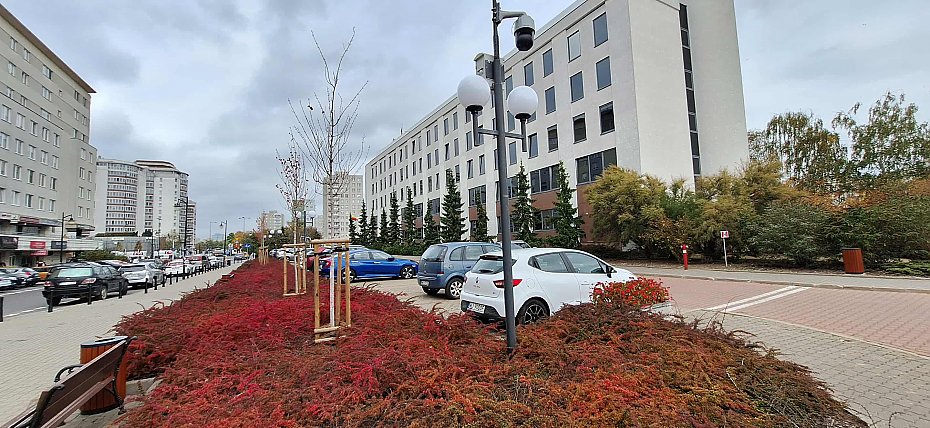 Parking przy ratuszu nie dla mieszkacw. Urzdnicy maj pierwszestwo