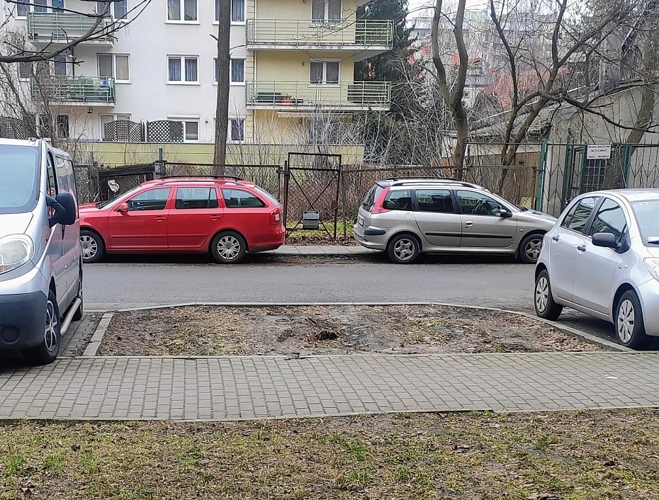 alt='Mieszkańcy chcieli dwóch miejsc parkingowych. Burmistrz posadzi drzewo'