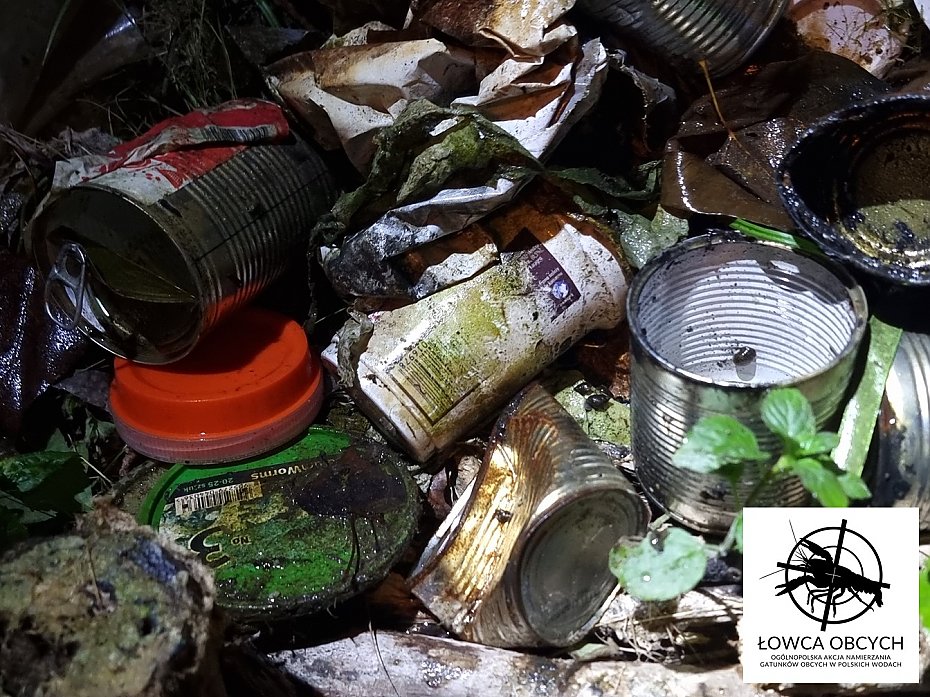 acha Potocka posprztana. Ekolodzy wyowili tysice mieci