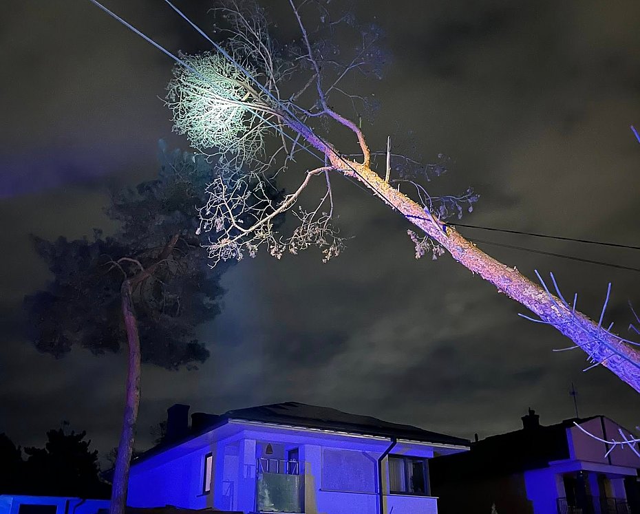 Nawanica nad Legionowem. Straacy interweniowali kilkanacie razy