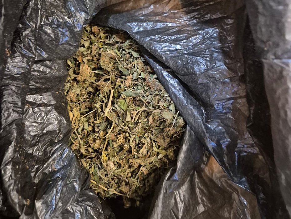 Policjanci zatrzymali czterech mczyzn podejrzanych o handel narkotykami