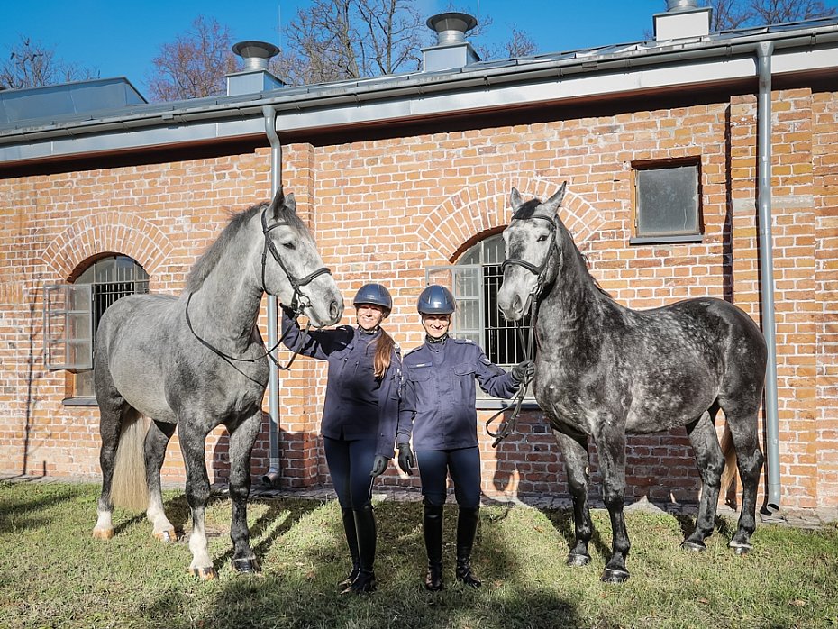 alt='Stoeczna policja ma dwa nowe konie'