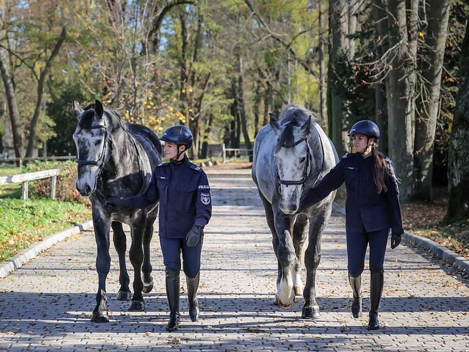 Stoeczna policja ma dwa nowe konie