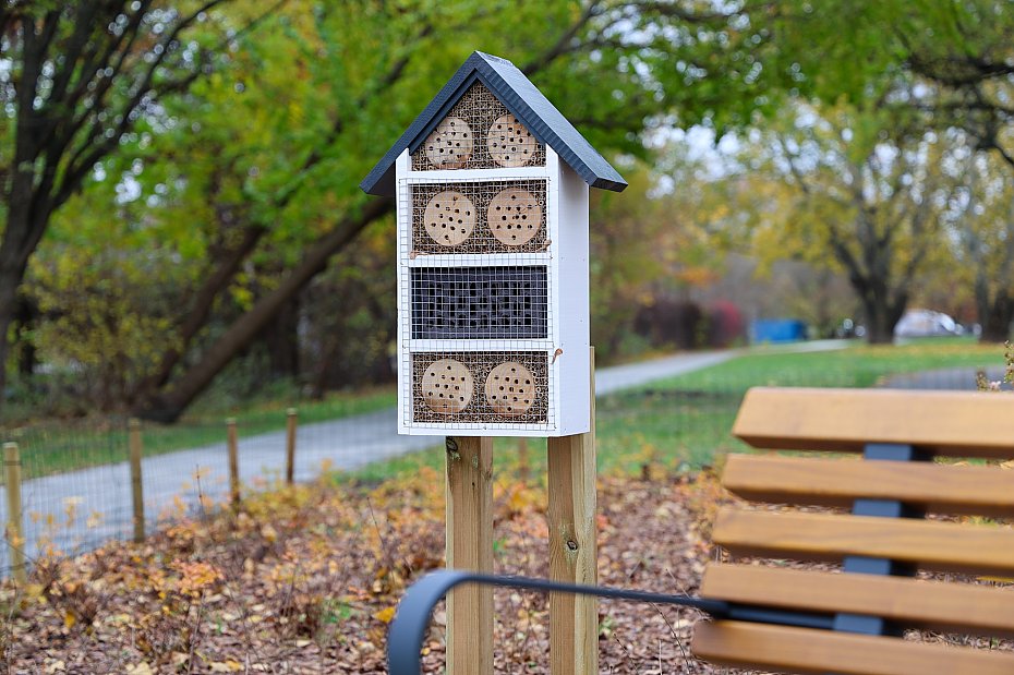 alt='Nowy park kieszonkowy przy Popiela. Zielony skrawek z duym opnieniem'