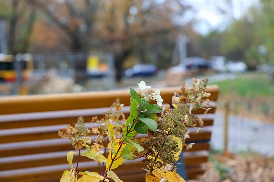 Nowy park kieszonkowy przy Popiela. Zielony skrawek z duym opnieniem