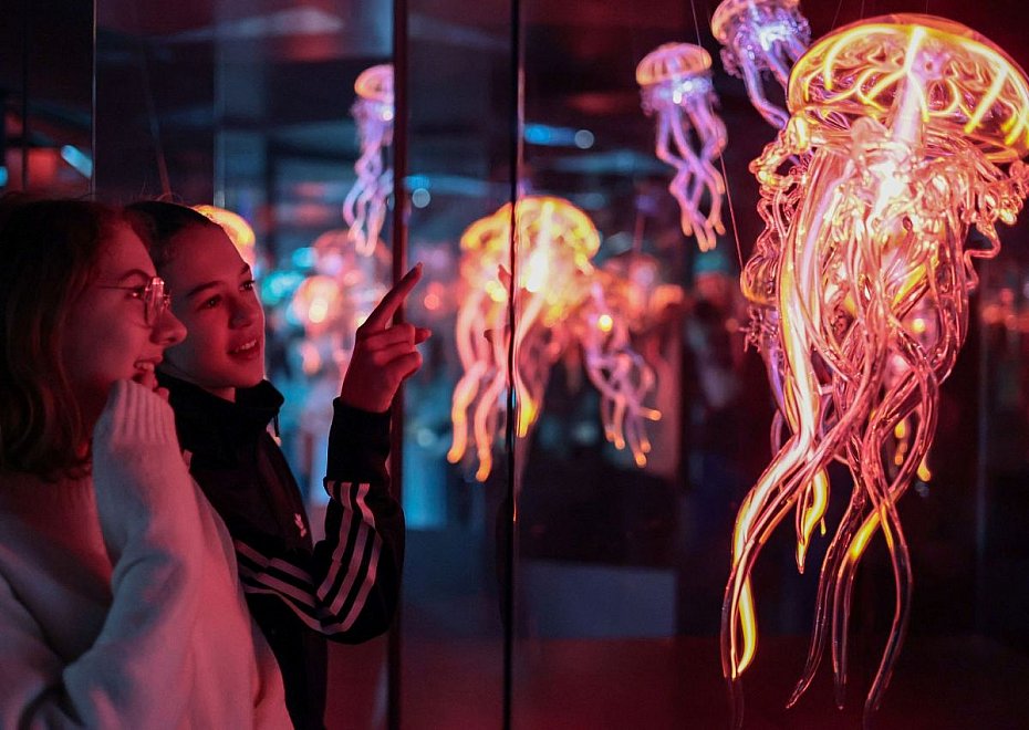 Lustra w Koperniku. Midzy iluzj a rzeczywistoci