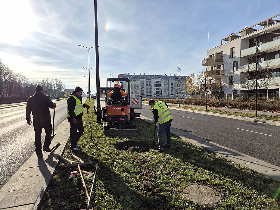 alt='Lazurowa si zazielenia. Kolejne drzewa midzy jezdniami'