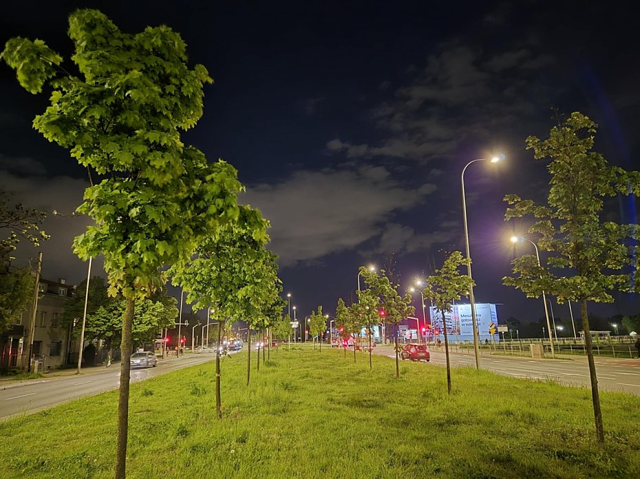 Lazurowa si zazielenia. Kolejne drzewa midzy jezdniami