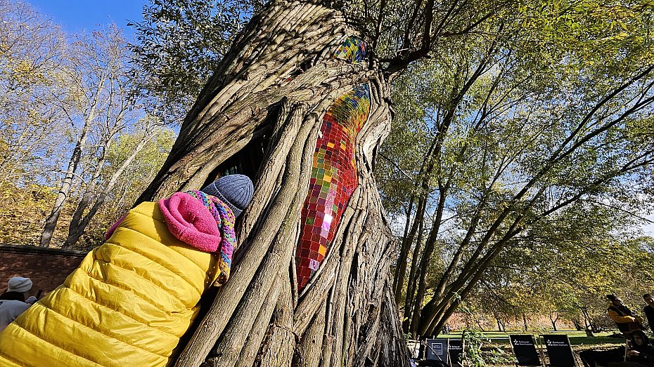 alt='Nowa rzeba oywia park. Drzewo dostao drugie ycie'