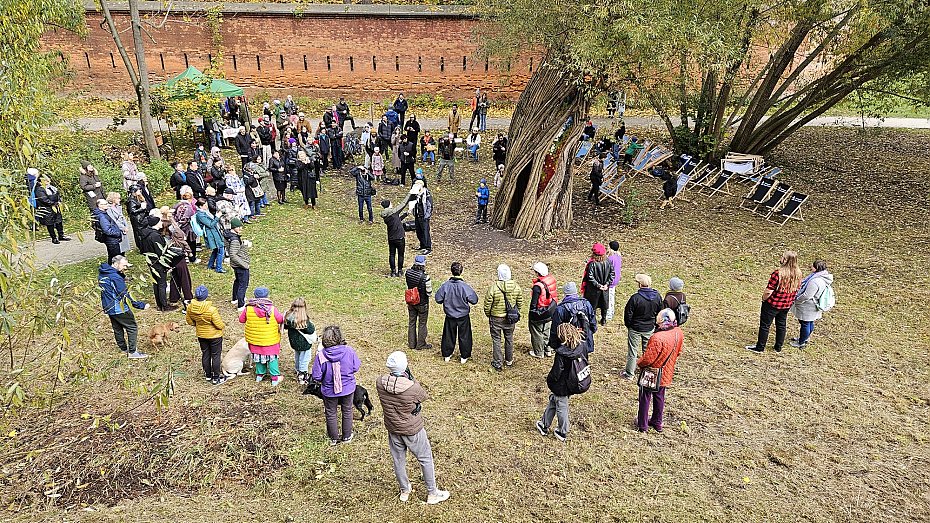 Nowa rzeba oywia park. Drzewo dostao drugie ycie