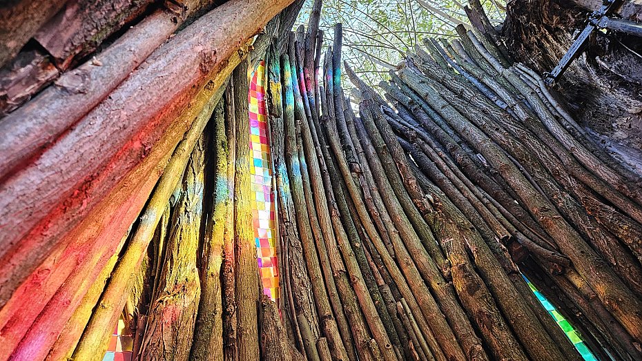 Nowa rzeba oywia park. Drzewo dostao drugie ycie