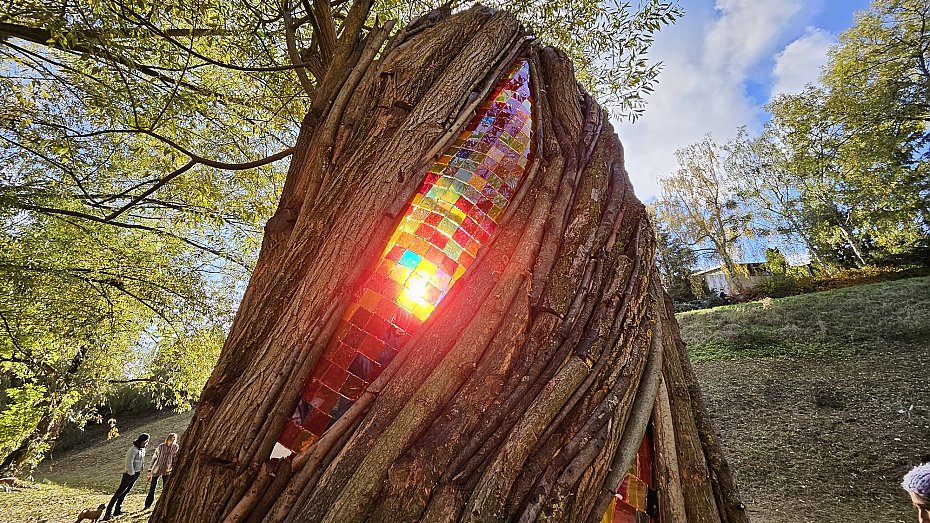 Nowa rzeba oywia park. Drzewo dostao drugie ycie