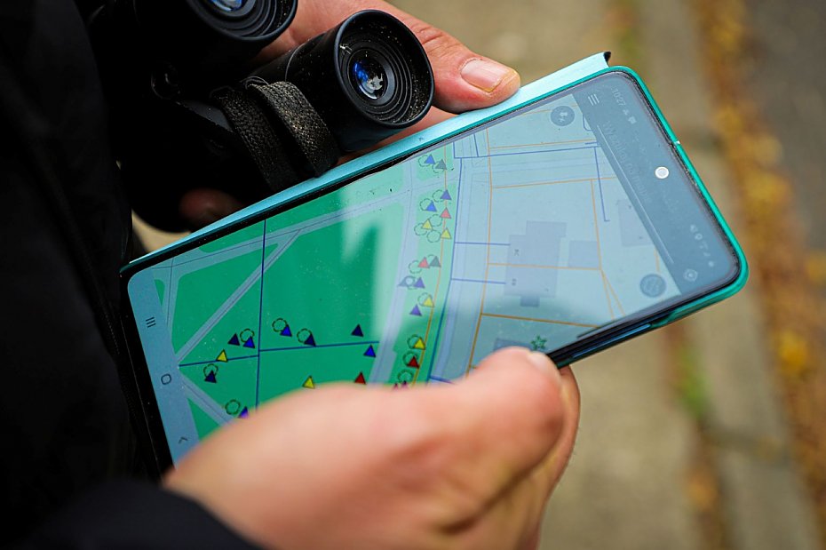 oliborz zatrudni dendrologa. Ju jest pierwszy "wyrok"