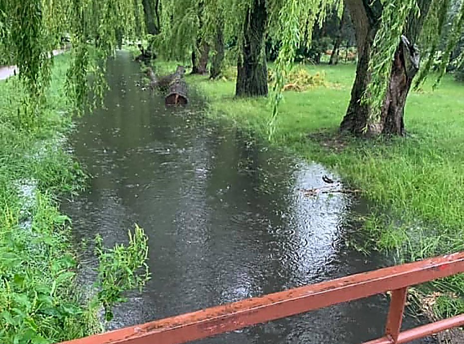 alt='Czy Potok Bielaski da si uratowa? Radny walczy od lat'