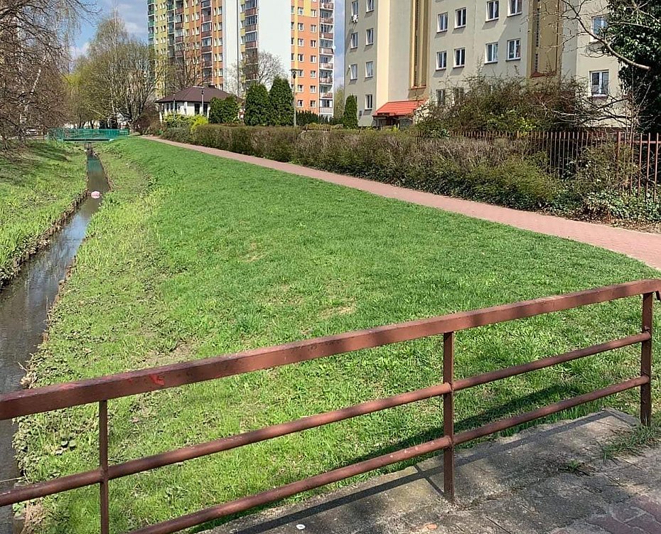 Czy Potok Bielaski da si uratowa? Radny walczy od lat