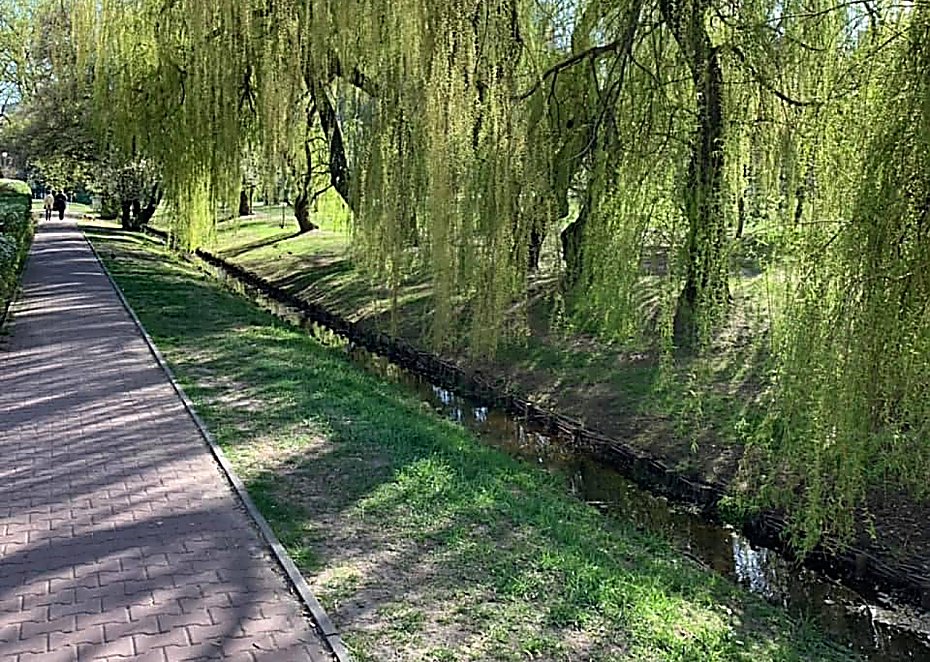 Czy Potok Bielaski da si uratowa? Radny walczy od lat