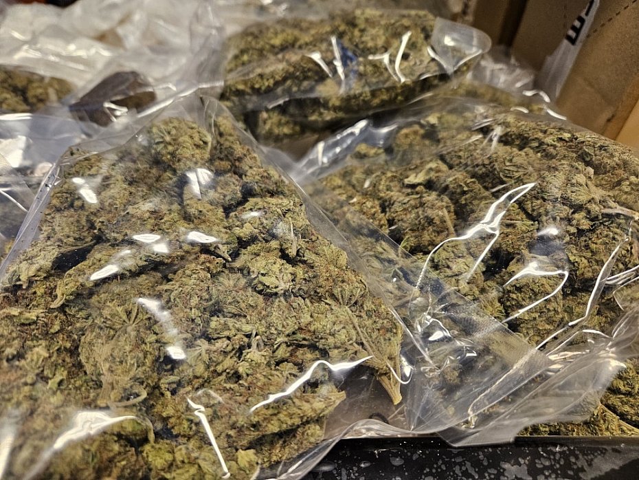 Skuteczna akcja policji. Bro�, narkotyki i milion w got�wce