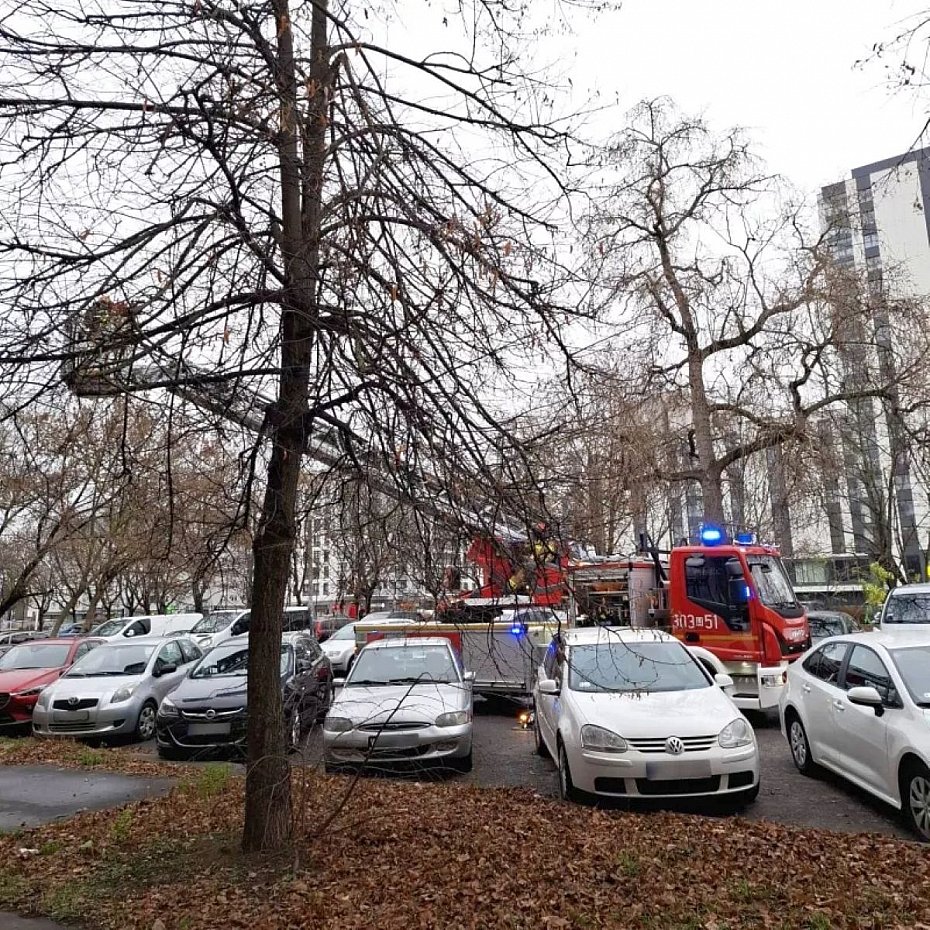 alt='Gob utkn w balustradzie balkonu. Akcja ekopatrolu i stray poarnej'